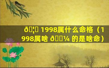 🦊 1998属什么命格（1998属啥 🌼 的是啥命）